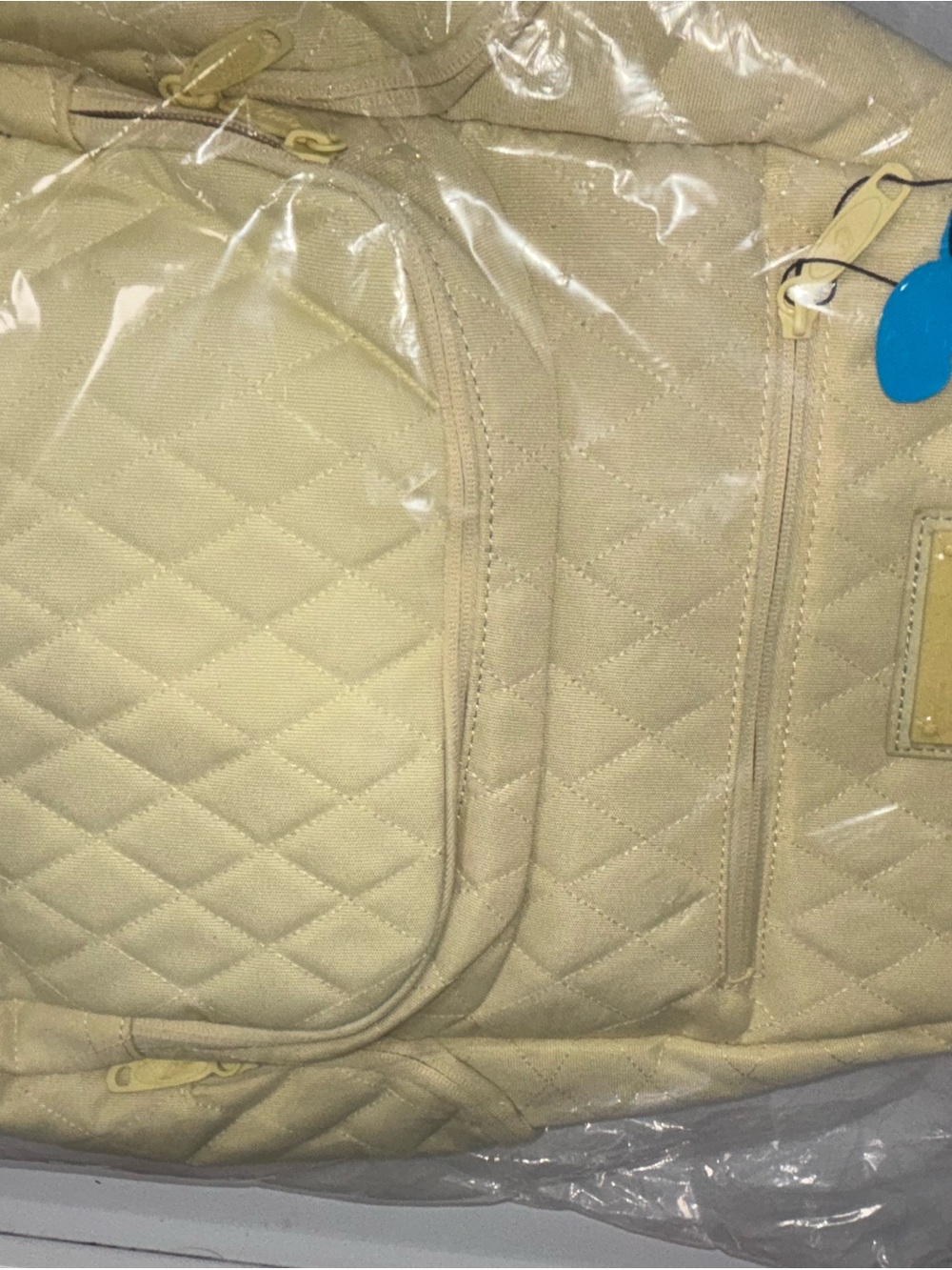 COOKIES V4 SMELL PROOF BACKPACK